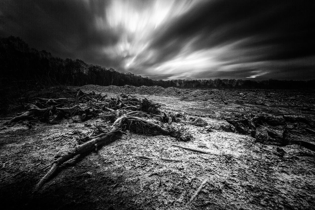 Snow at Sunrise, Lindow Moss, Cheshire, UK