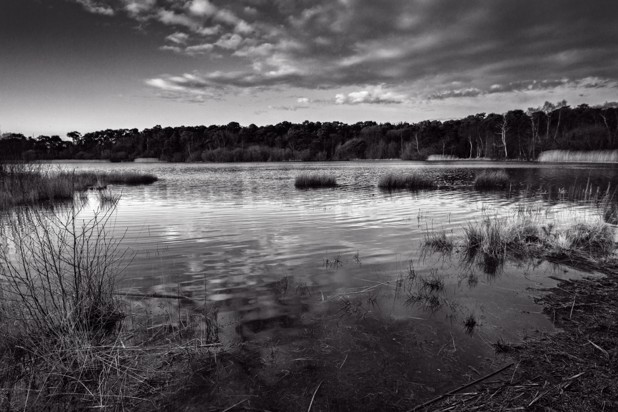 Sunset, Ockham Common, Surrey