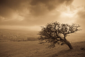 The View From St Michael de Rupe, Dartmoor