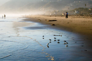 Zuma Beach, Los Angeles