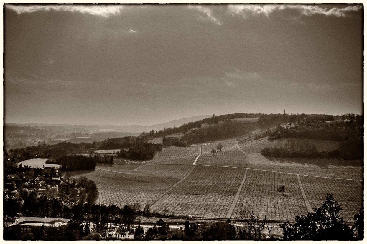 The View From Boxhill, Surrey, UK