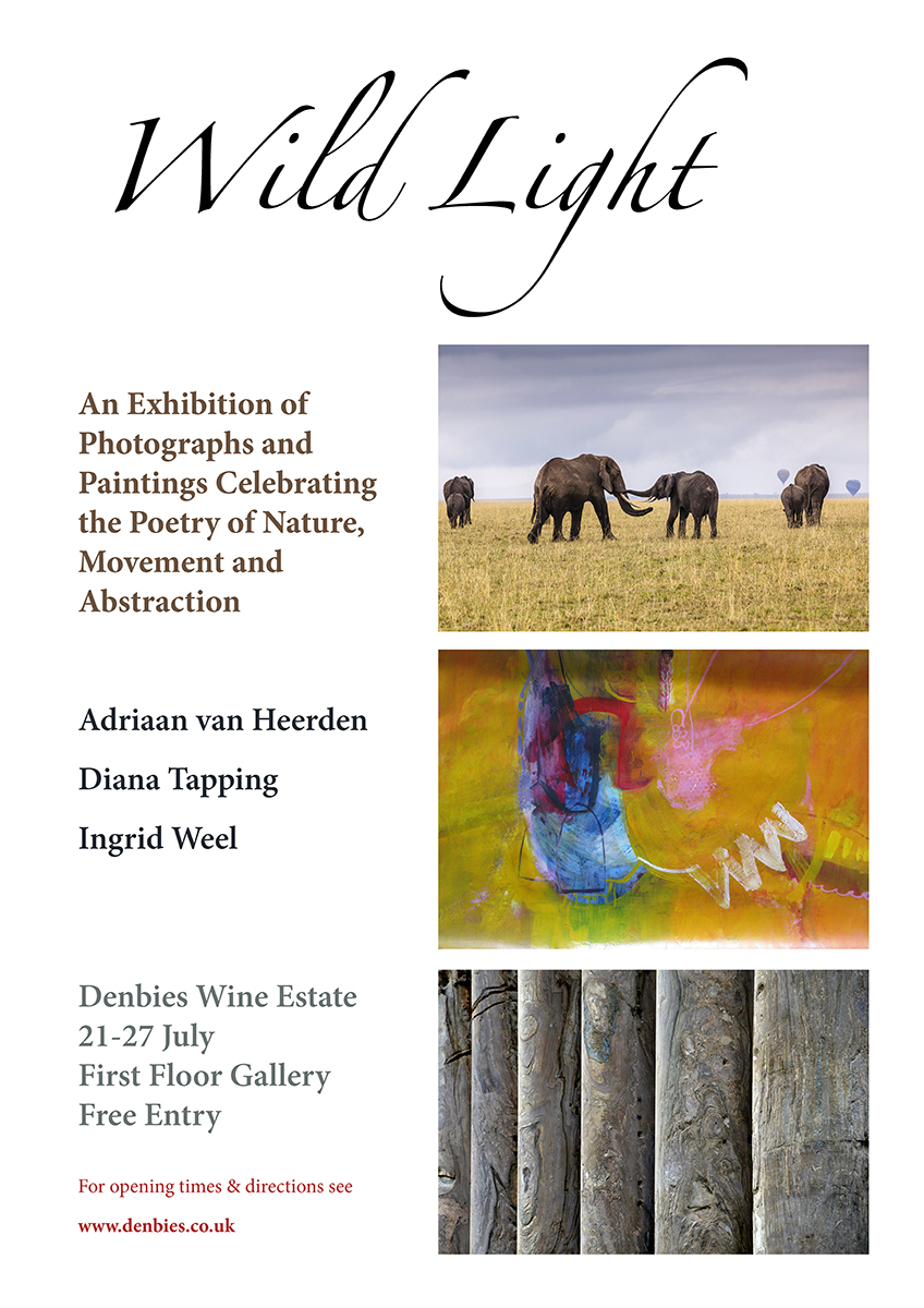 Wild Light: An Exhibition of Photographs and Paintings Celebrating the Poetry of Nature, Movement and Abstraction