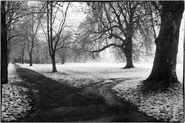 Beddington Park, Surrey