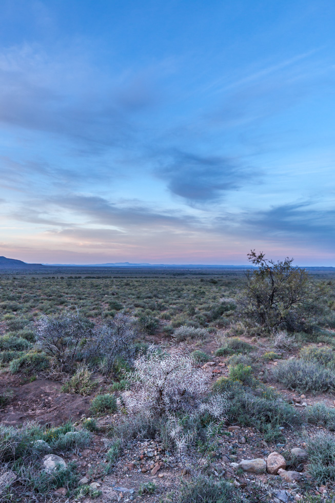 Sunset with Thorn Bush, Karoo National Park, South Africa