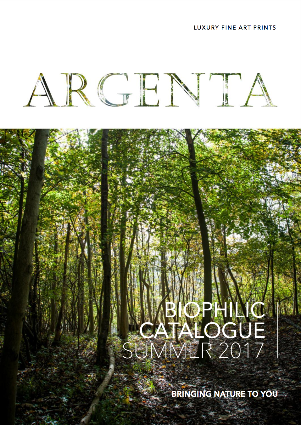 New ARGENTA Creative Catalogue